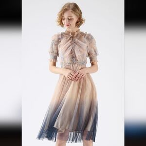 We Know It All Gradient Pleated Mesh Tulle Dress